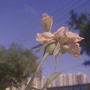 性饥渴老太满足了我
