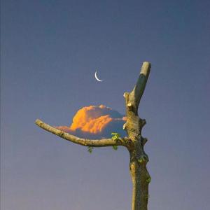 性饥渴老太满足了我
