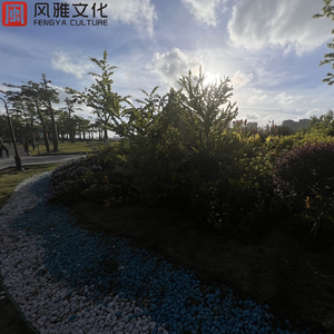 性饥渴老太满足了我
